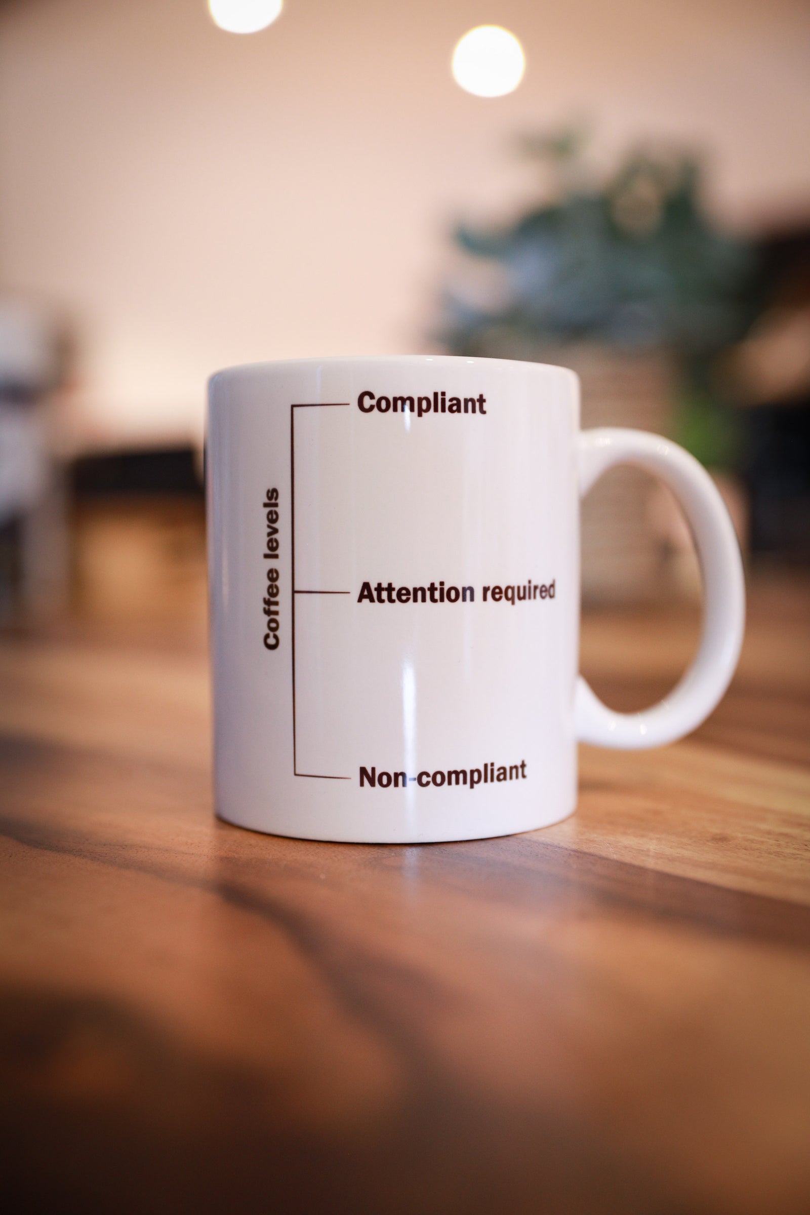 Coffee Levels Mug - Site Inspections